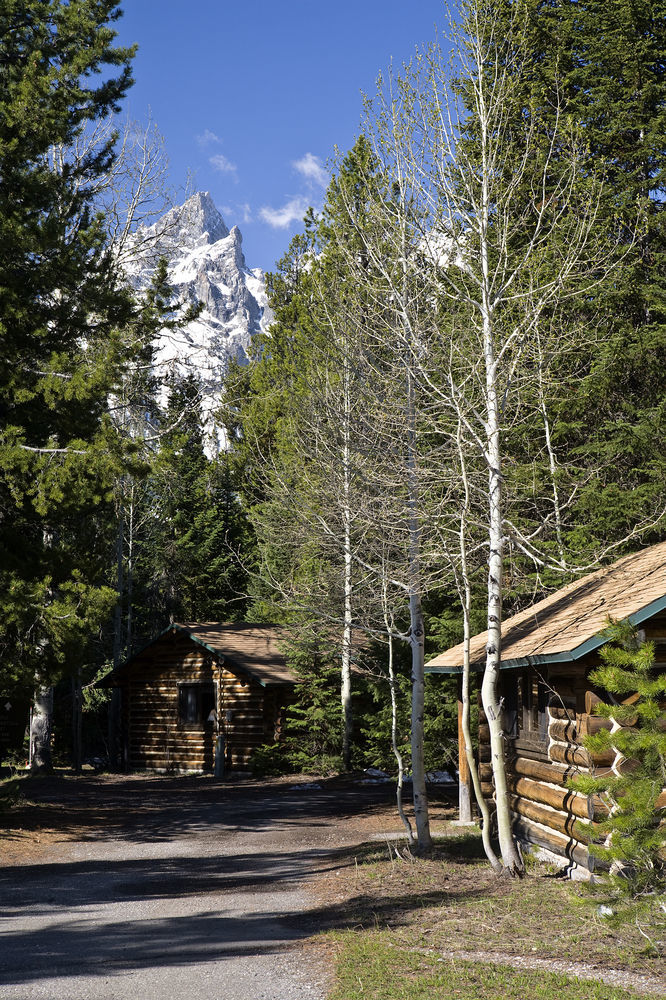 Jenny Lake Lodge Beaver Creek ภายนอก รูปภาพ